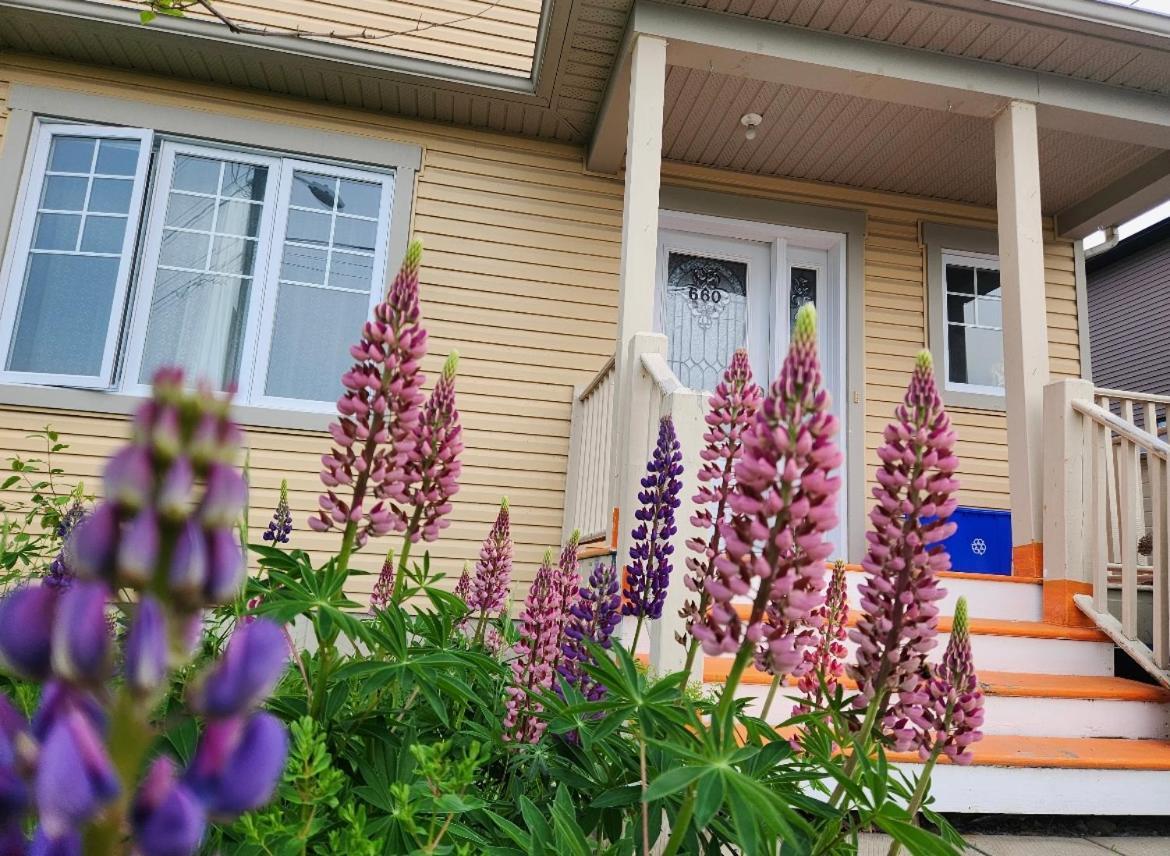 Maison Chaleureuse, Energetique Et Florale Sherbrooke Esterno foto